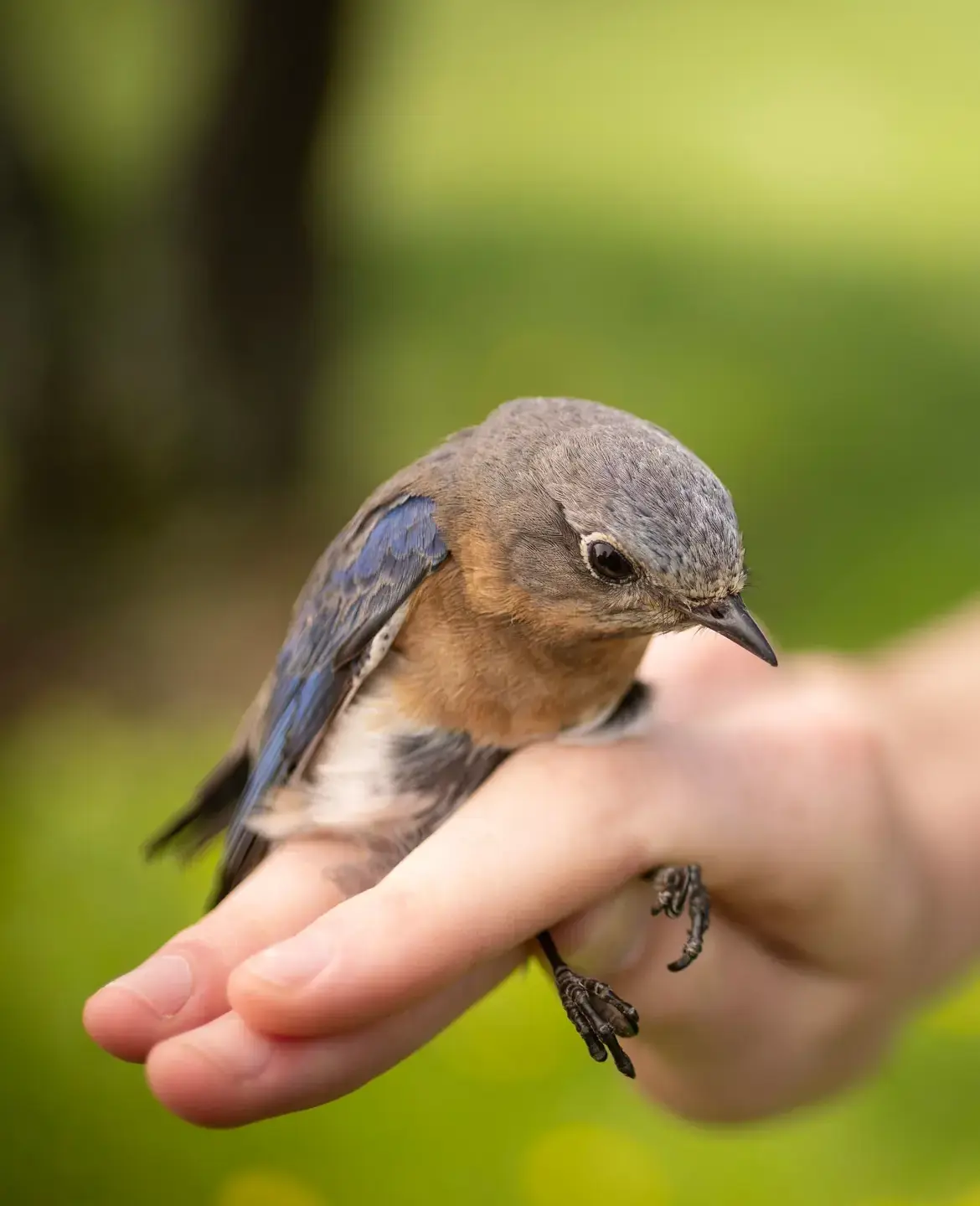Student holding bird
