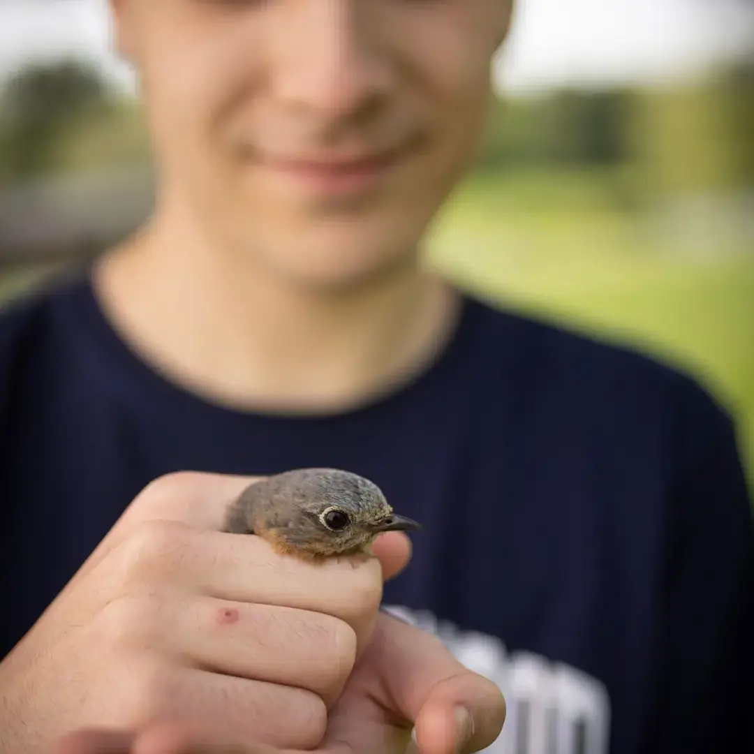 Student holding bird gently
