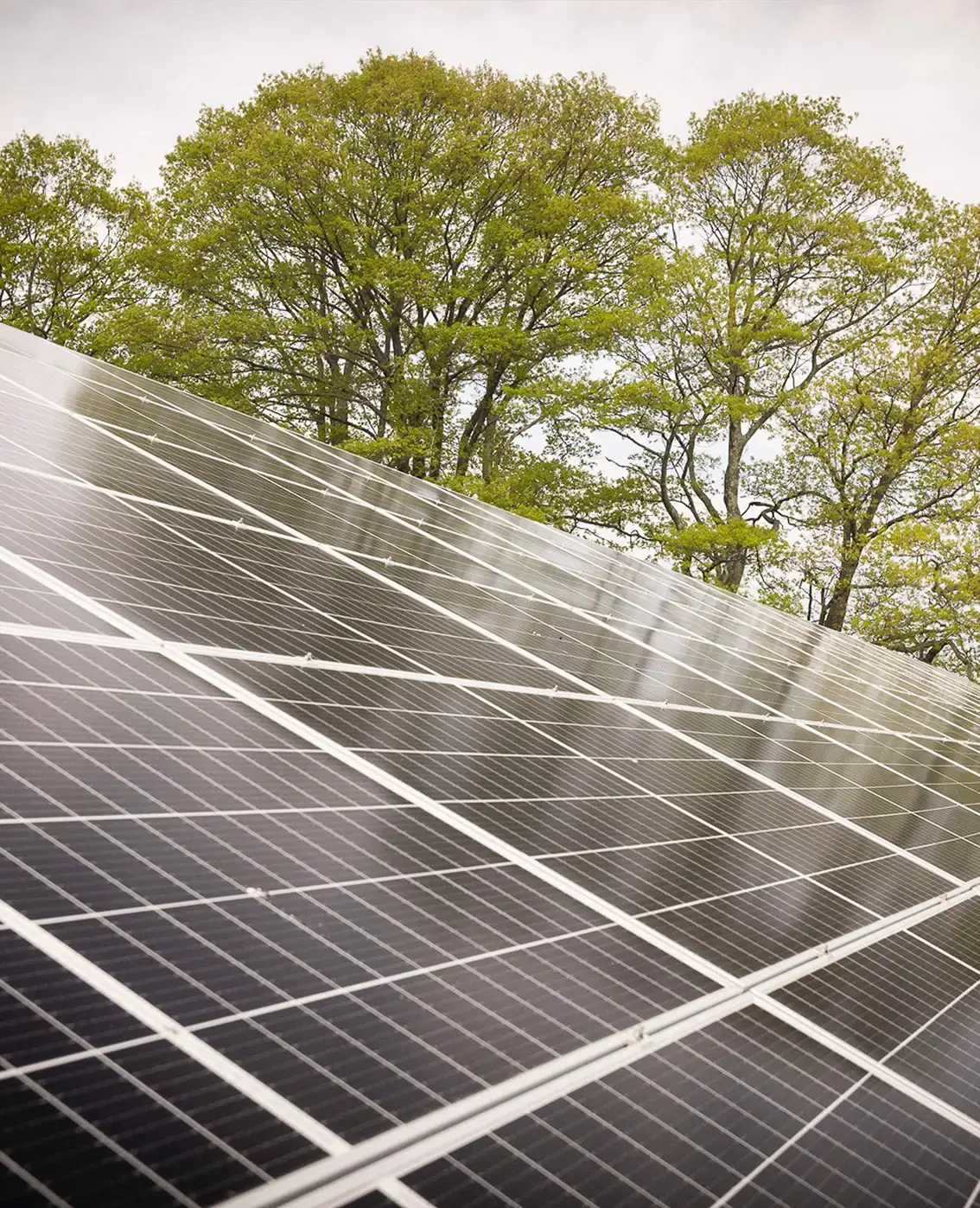 Solar panels on campus
