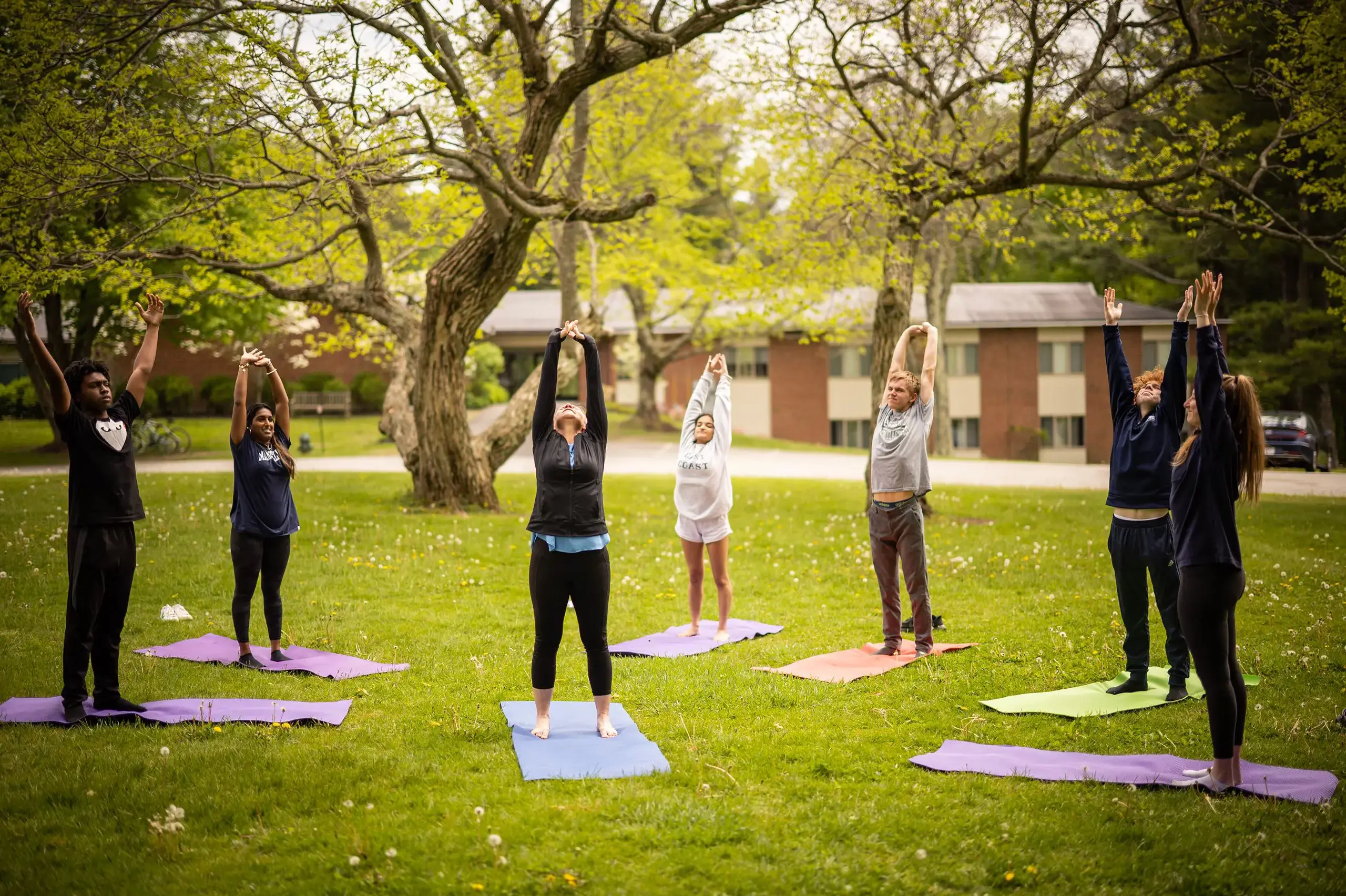 Students doing Yoga in park