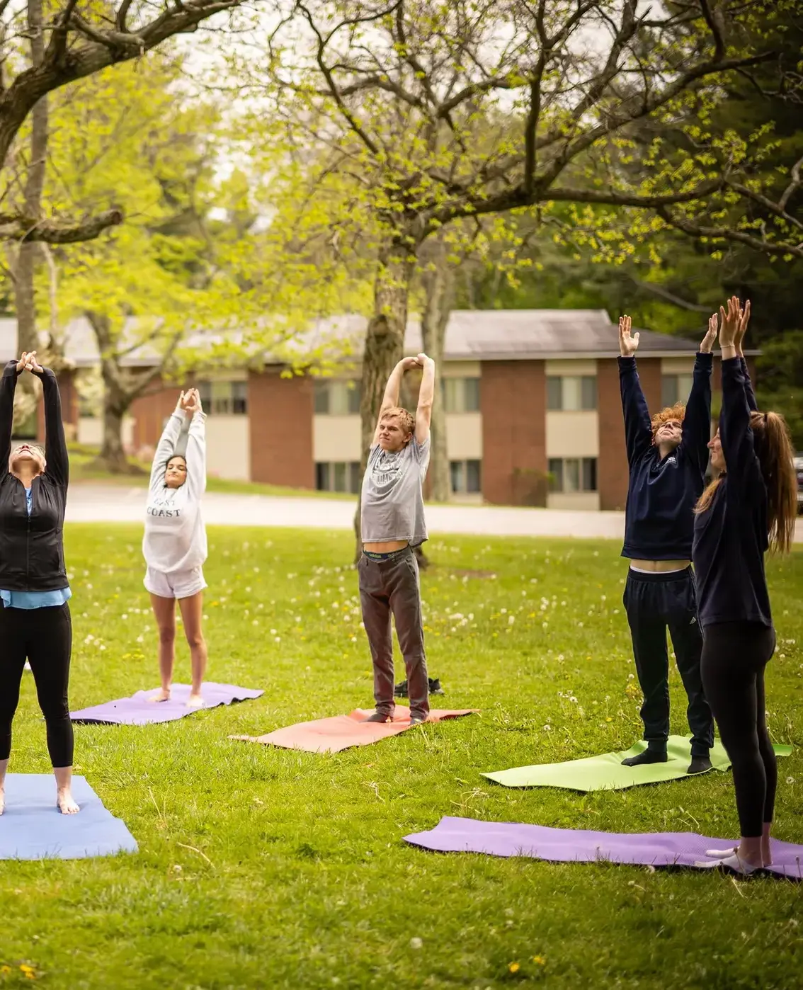 Students doing yoga with teacher