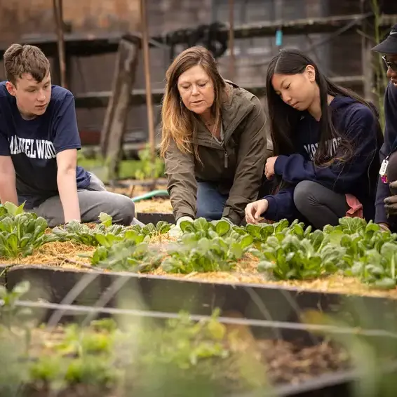 Students and teachers gardening