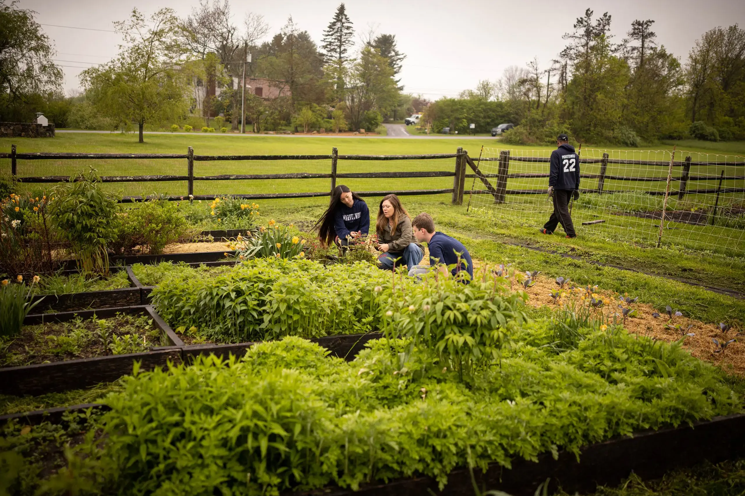 Students doing gardening on school campus