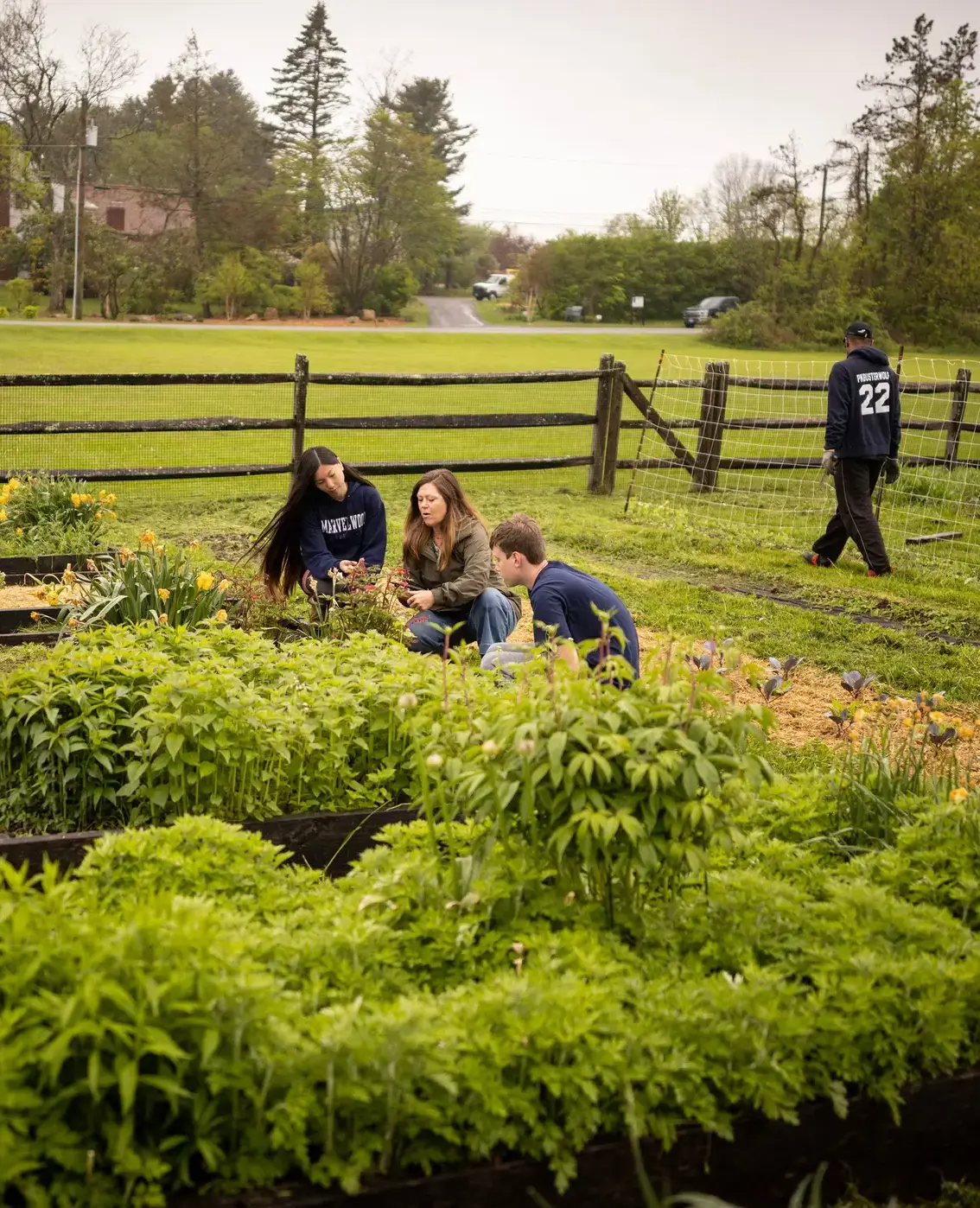 Students doing gardening after school activities