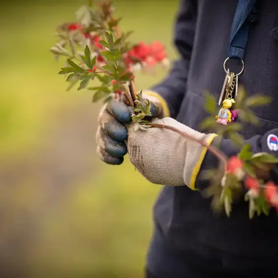 Student holding bundle of plants
