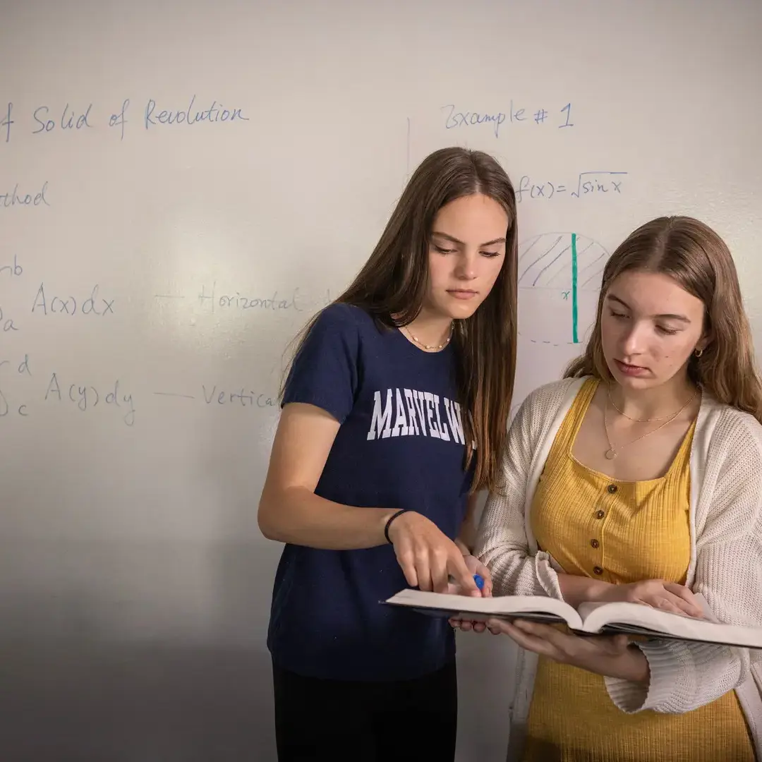 Students in math and science class