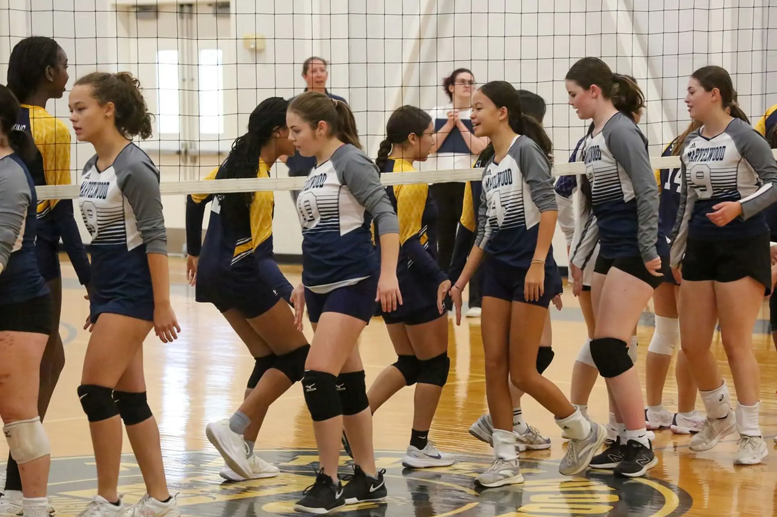 Students playing volleyball