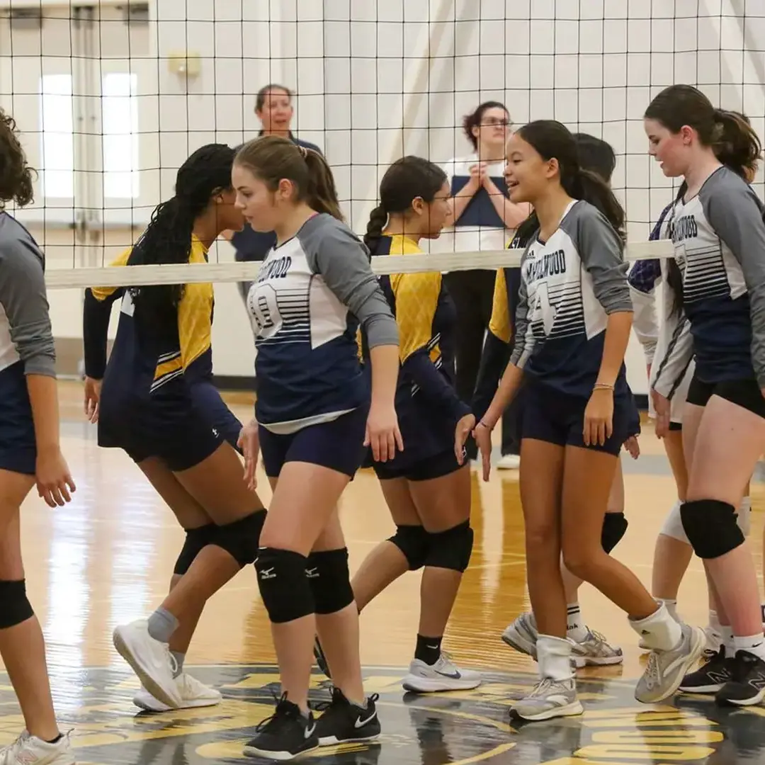 Students playing volleyball 