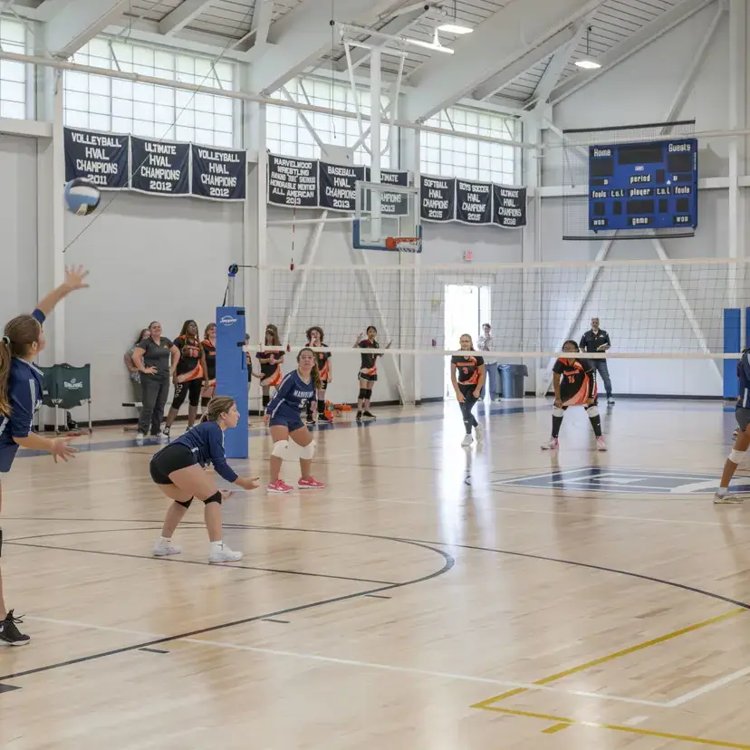 Students playing volleyball 