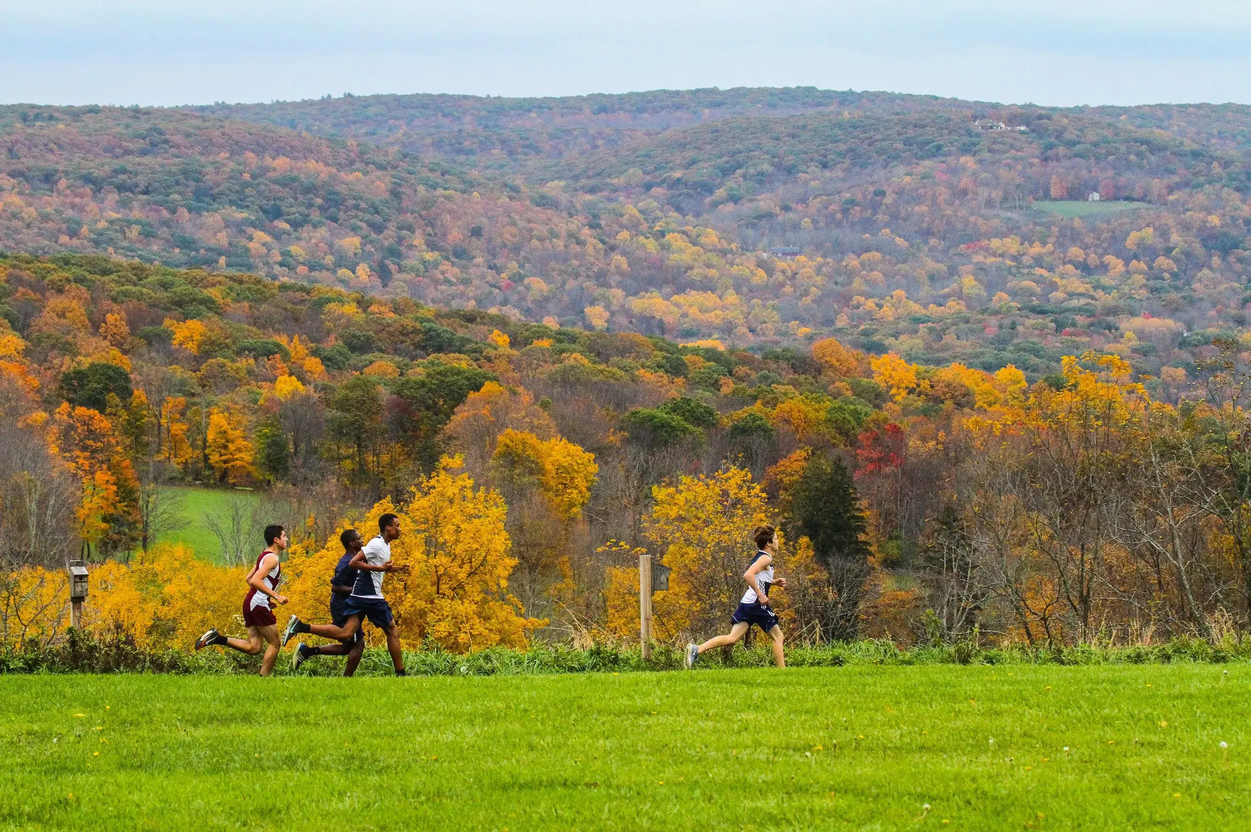 Students doing cross country